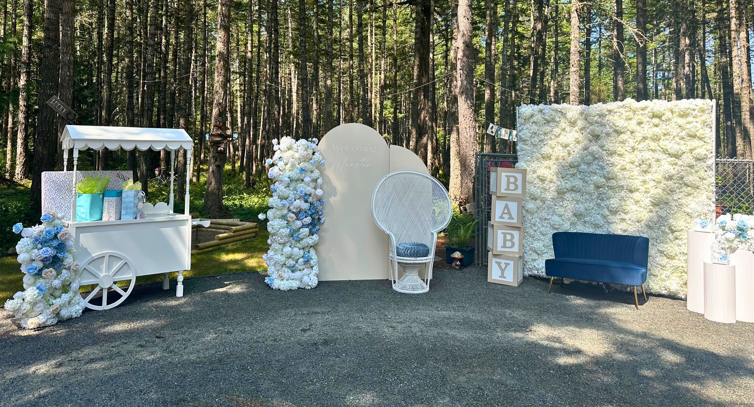Baby Shower Blue Setup