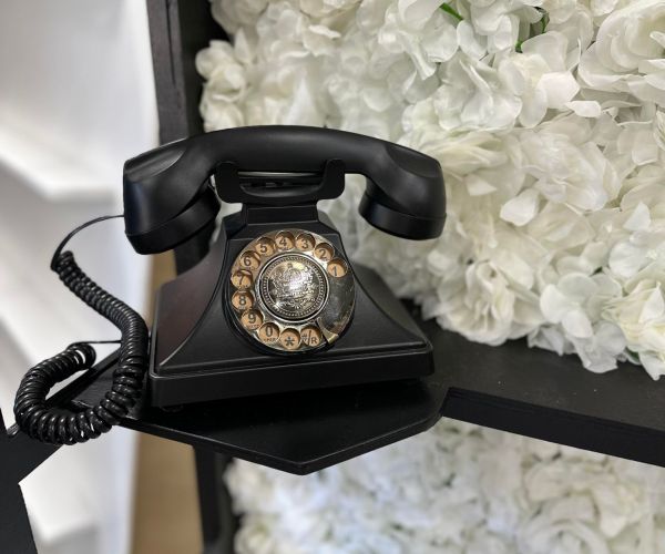 Timeless Party Rentals 'Audio Guestbook in Phonebooth' picture