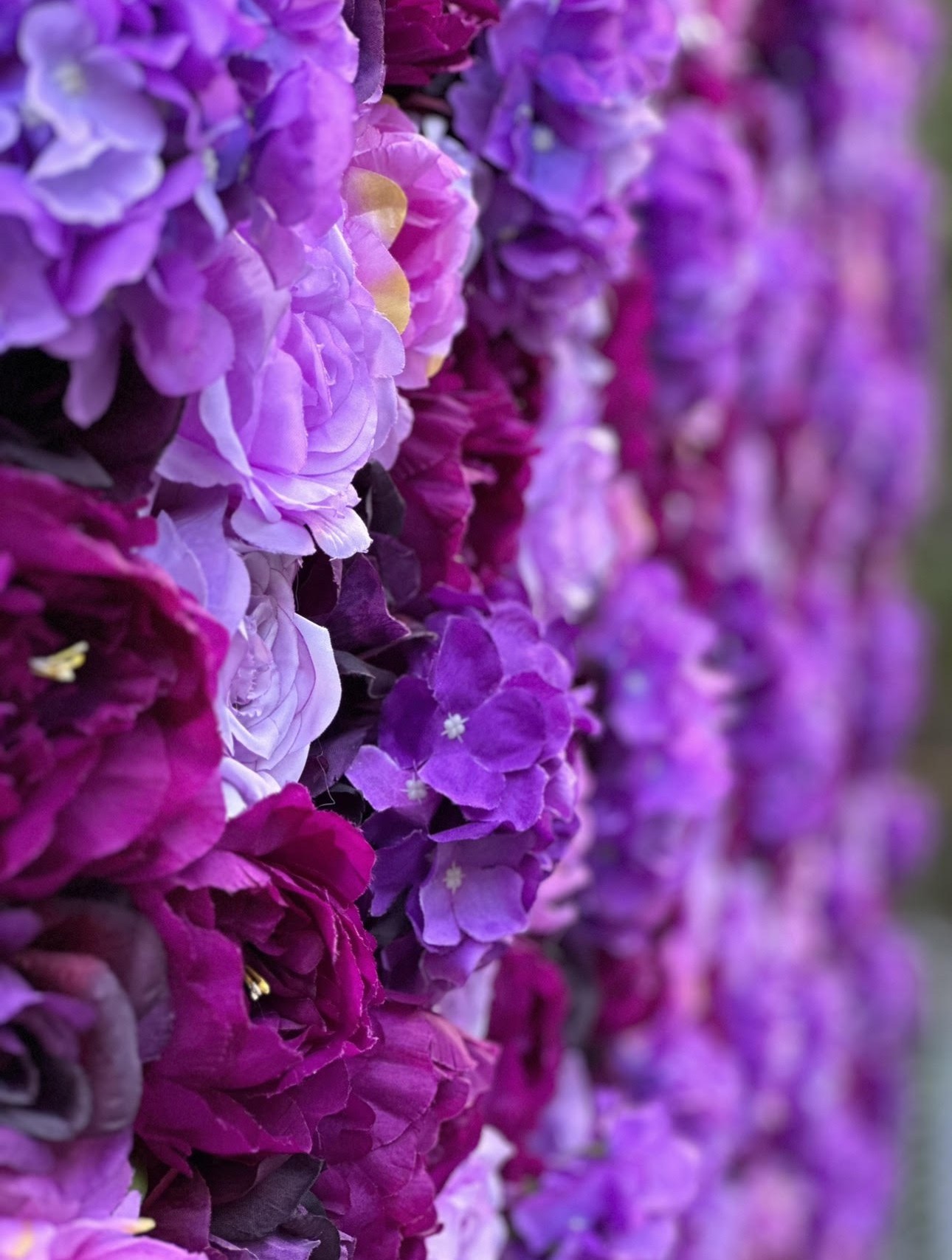 Purple Backdrop Flower Wall at Venue