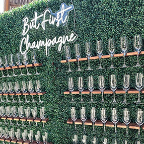 Champagne Wall Rentals